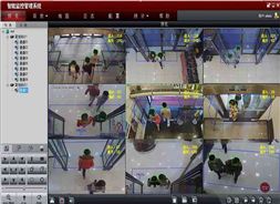 ������Ƶ����ͳ��